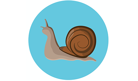 Jeremy, l’escargot gaucher