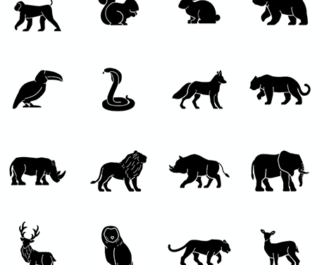 Vers un Internet des animaux