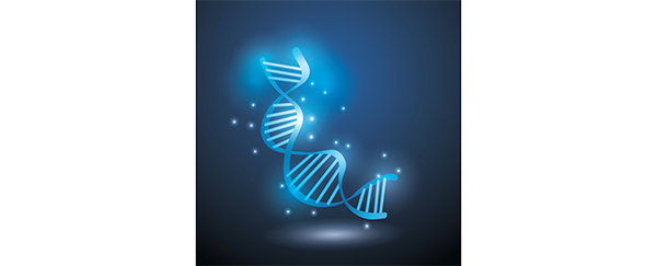 « L’ADN fossile, une machine à remonter le temps »