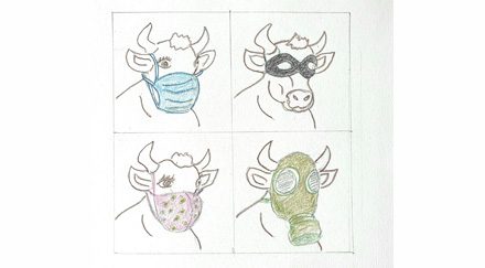 Masques à vaches