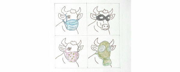 Masques à vaches