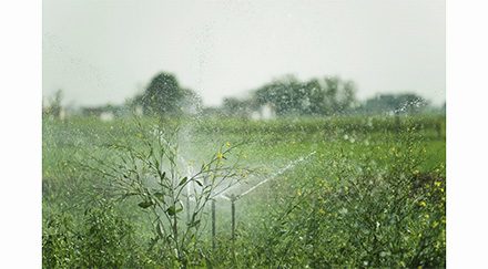 Polémique autour de l’eau dans le Marais poitevin