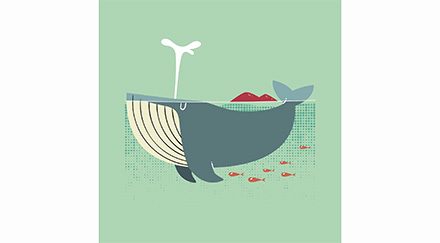 Les baleines et le paradoxe du krill