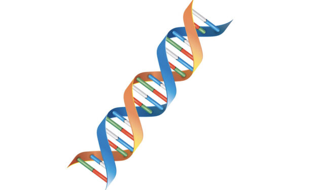 Une technique en plein essor : l’ADN environnemental