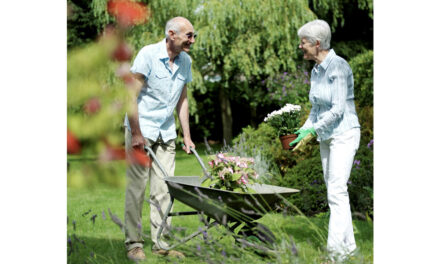 S’occuper autrement de l’Alzheimer