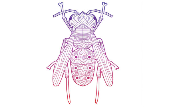 L’extinction des insectes