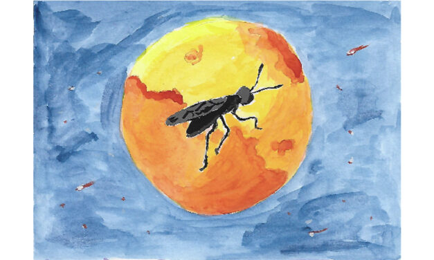 Des insectes pour vivre sur Mars