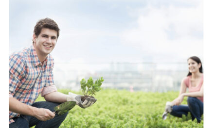 Plaidoyer pour l’agroécologie