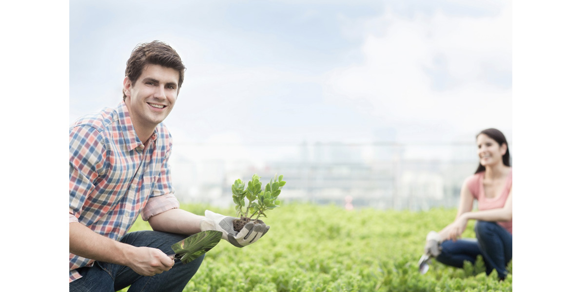 Plaidoyer pour l’agroécologie